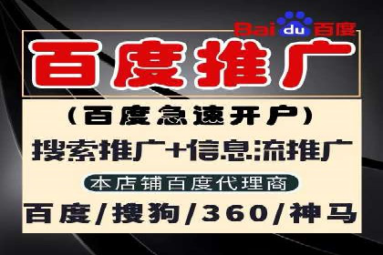 如何在百度上通过SEO实现精准推广？——案例分享